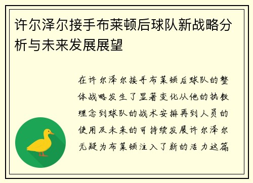 许尔泽尔接手布莱顿后球队新战略分析与未来发展展望