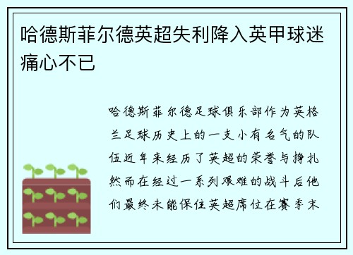 哈德斯菲尔德英超失利降入英甲球迷痛心不已